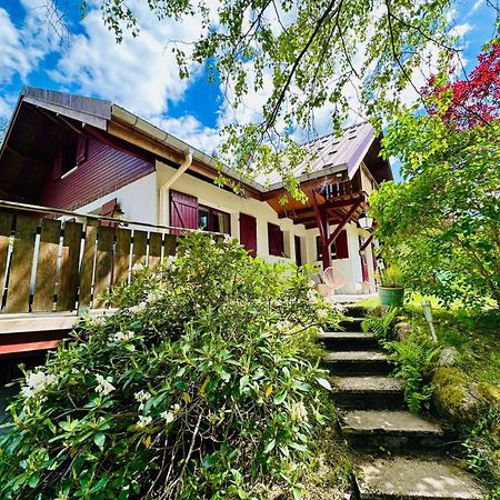 Les Cimes Blanches Cledicihome Chalet 10 Pers Spa & Grand Terrain 4 Minutes Des Pistes La Bresse Exterior foto