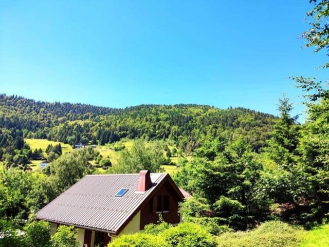 Les Cimes Blanches Cledicihome Chalet 10 Pers Spa & Grand Terrain 4 Minutes Des Pistes La Bresse Exterior foto
